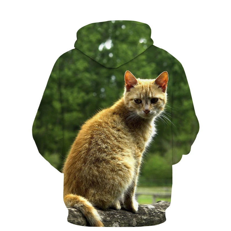 

Funny Moon Cat Printed 3D Hoodies Men Sweatshirts Women Cool long sleeved Hoody Lady Pullovers Funny Cat Hoodie sudadera hombre