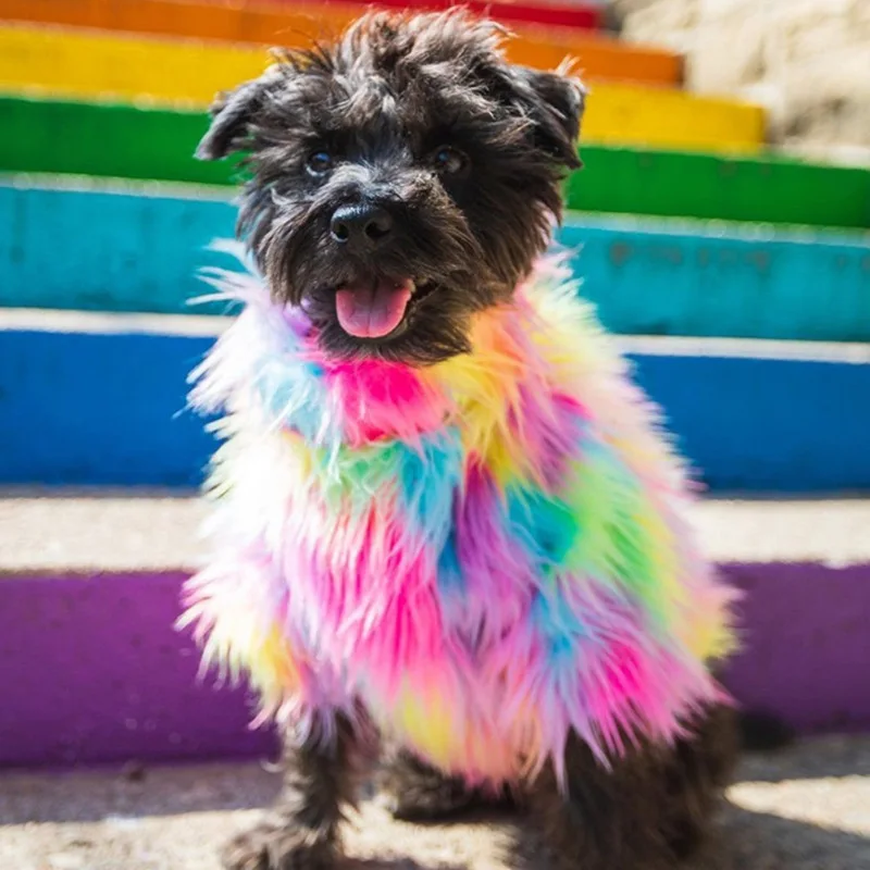 

Мягкий Пушистый свитер для собак, зимняя теплая одежда для собак, ветронепроницаемое пальто для французского бульдога, куртка для маленьки...