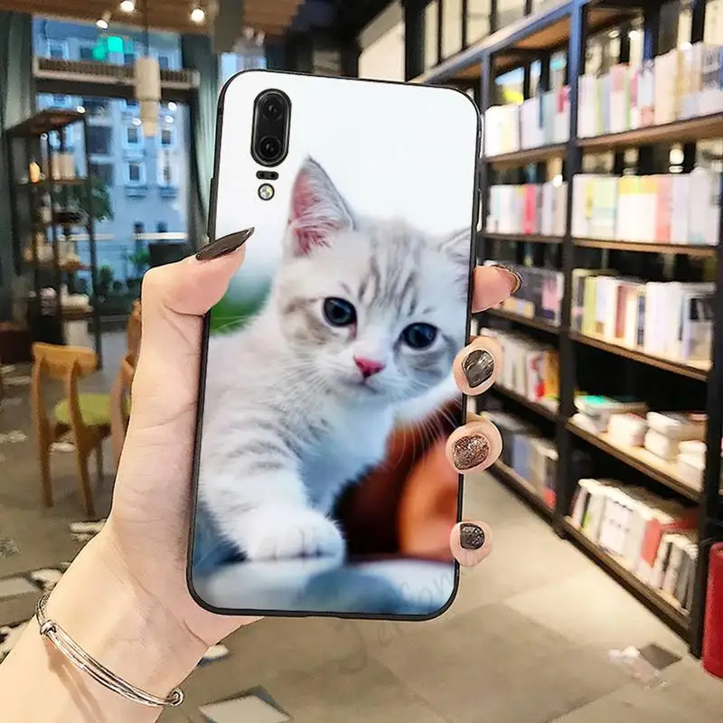 

cat cute funny animal high quality Phone Case cover For Huawei honor Mate P 10 20 30 40 Pro 10i 9 10 20 8 x Lite
