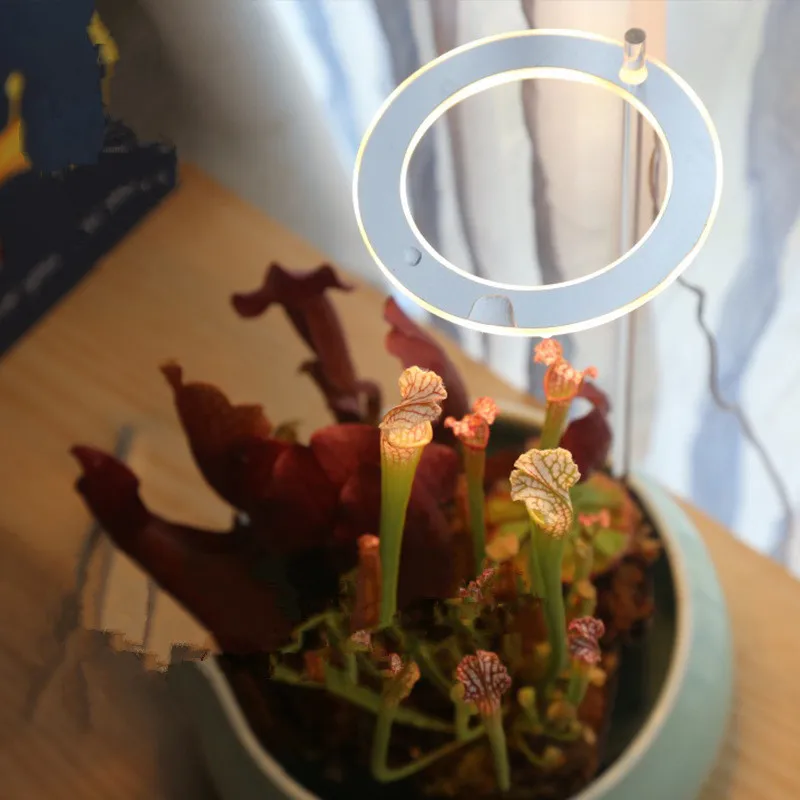 1pc Angel Ring Grow Light 5V USB Phytolamp For Plants Led Full Spectrum Growth Lighting Indoor Plant Succulents | Освещение