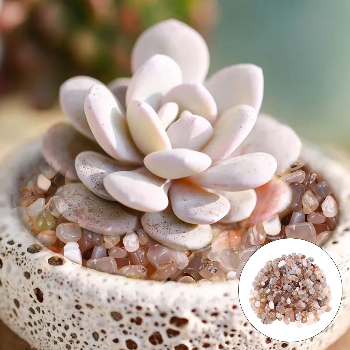 1 упаковка 500 г речные камни галька садовый уличный декоративный гравий