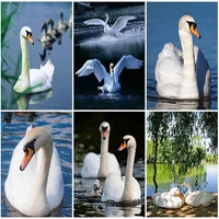 diy diamond painting swan in beautiful view full square drill diamond embroidery swan animal rhinestones pictures crafts kit