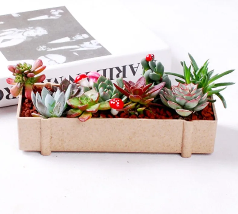 Розовый суккуленты цветочный горшок креативный прямоугольник плантатор для