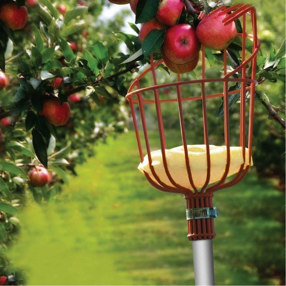 Garden Tools Fruit Picker Head Aluminum Picking Fruits Catcher Apple Citrus Pear Peach Hand | Инструменты