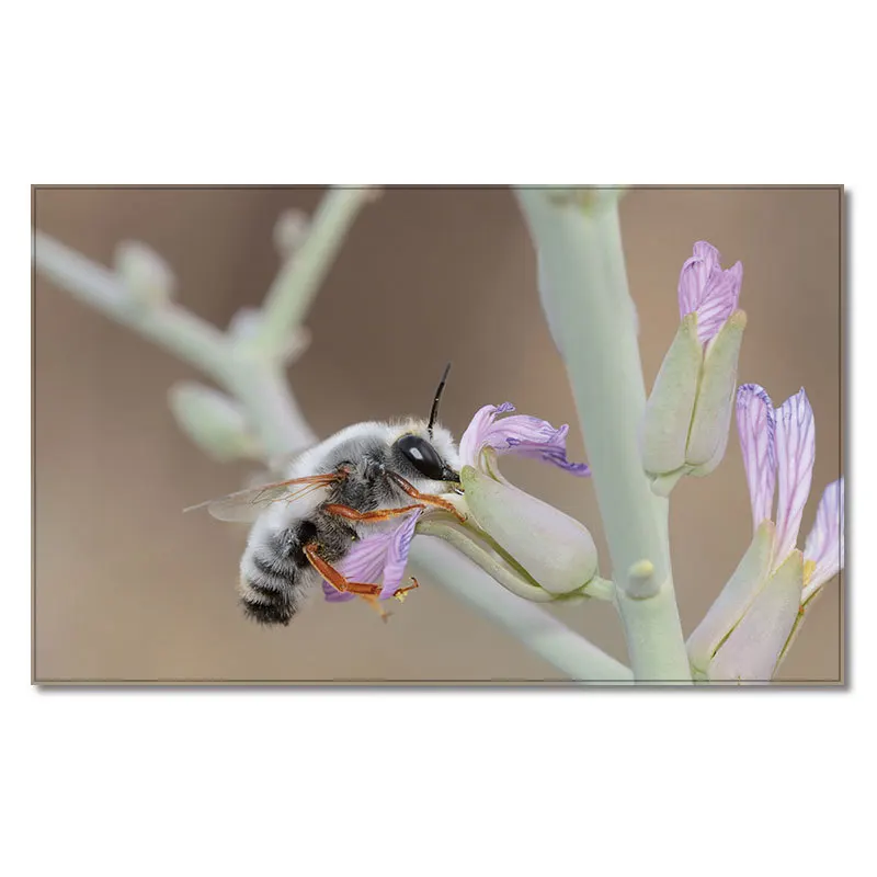 

Nature Colourful Crystal Bath Mat Dream Flower Non Slip Super Bathroom Carpet Doormat Floor Dirt Trapper Mats Shoes Scraper