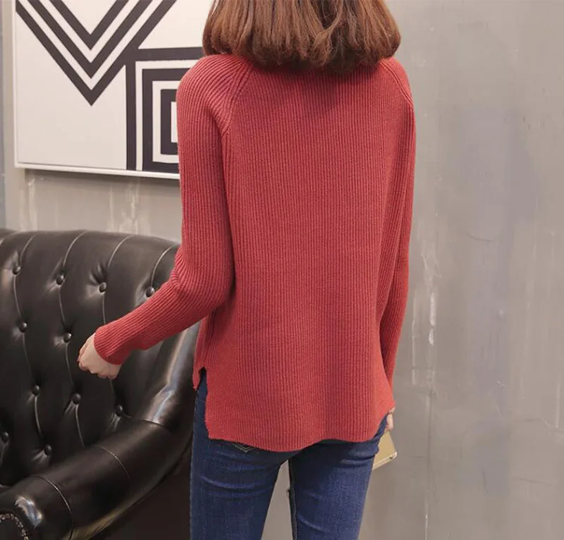 Водолазка повседневные женские свитера пуловеры 2019 осень зима длинный рукав