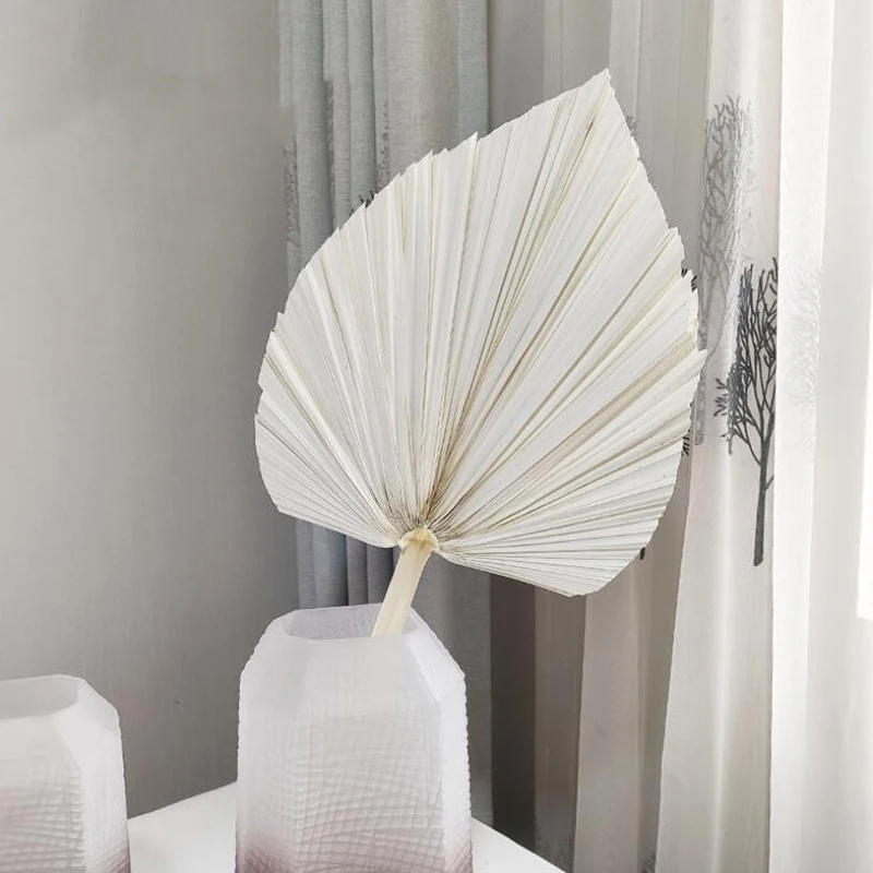 

1PC Hot New High Quality Natural Dried Flower Palm Leaf DIY Art Wall Hanging Decoration For Wedding Arch Party Home Decoration
