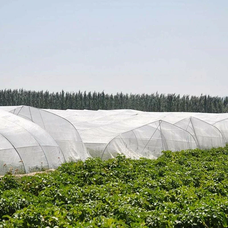 

Crop Protection Net Vegetables Fruit Flowers Plant Protection Greenhouse Garden Net Encryption Insect Net DRSA889