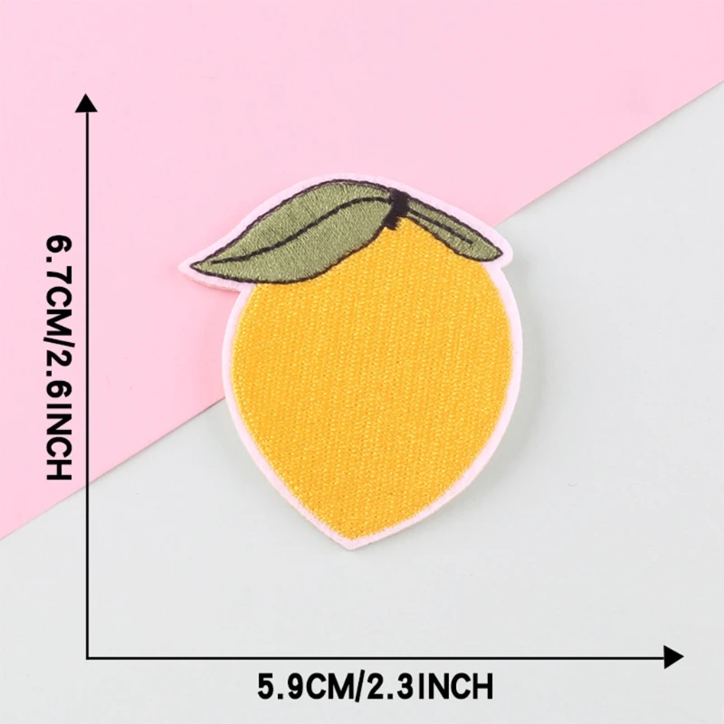 

8 Pieces Fruit Embroidered Patch Iron On or Sew On Patches Appliques for Clothes Jackets Jeans Backpack