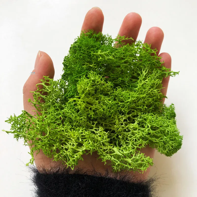 

30G Lichen Moss cluster for bushes,model trees foliage scale model building material miniature tree model DIY layout dioramas