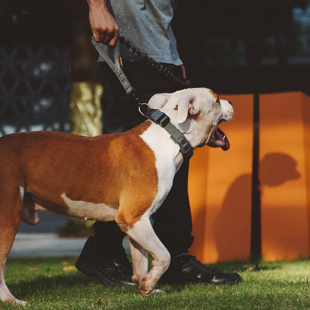 Отличный ELITE SPANKER тактический ошейник для собак регулируемые быстросъемные