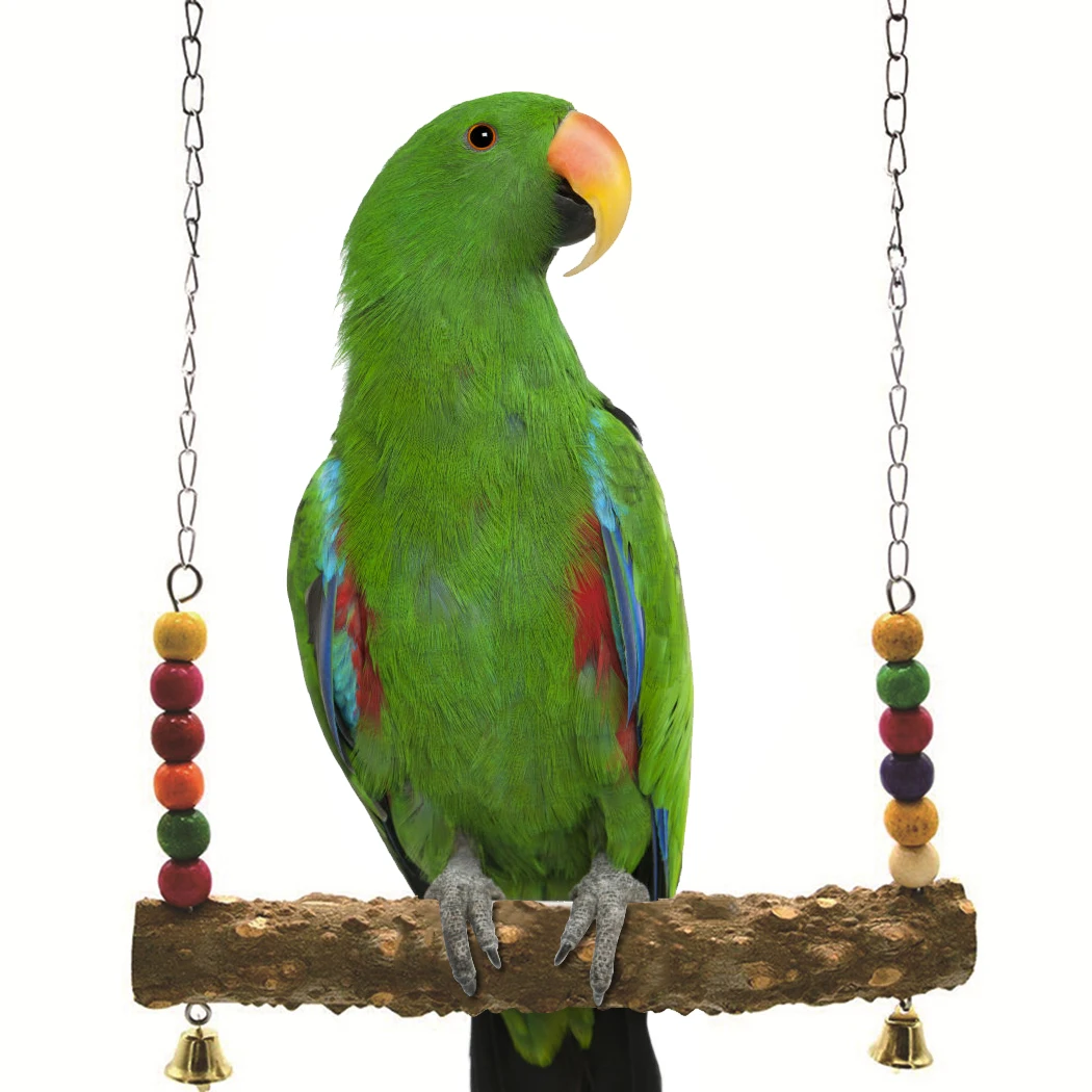

Pet Bird Swing Toys Pet Hanging Swing for Parrot Parakeet Perches Hanging Cage Toy Cockatiels Macaws Finches Colorful