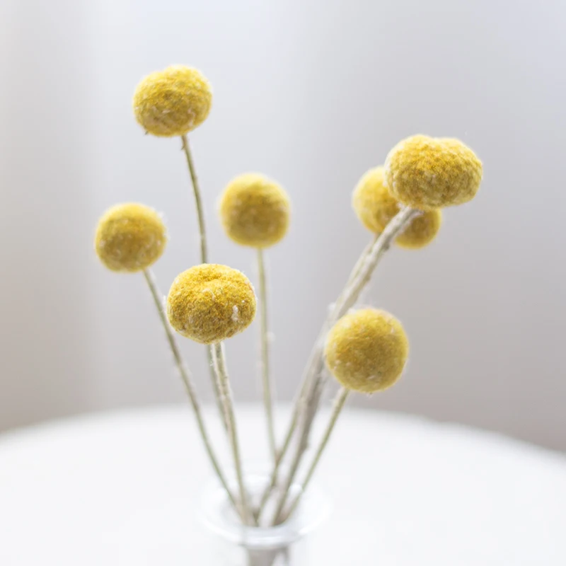 

Rushed Sale 20pcs Home Decoration Dried Flowers Natural Round Yellow Billy Bouquet Wedding Balls