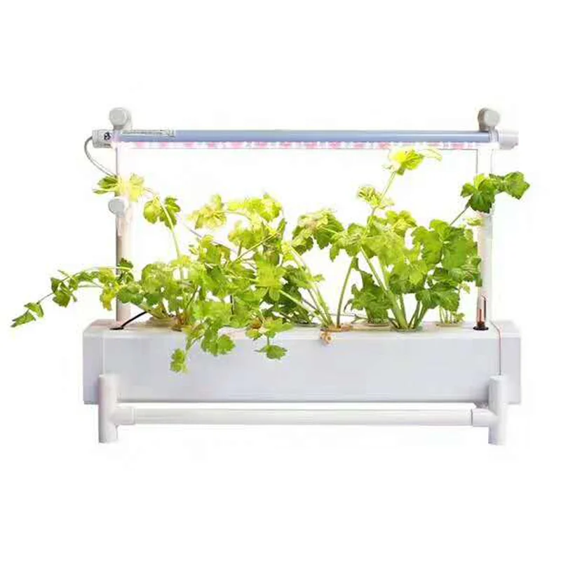 

One layer Soilless Hydroponic Grow Systems with Water Pump for Leafy Vegetables