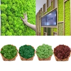 Искусственное зеленое растение, мох, 40 г, фон сделай сам, настенное украшение для сада, дома, мини микро Ландшафтные аксессуары