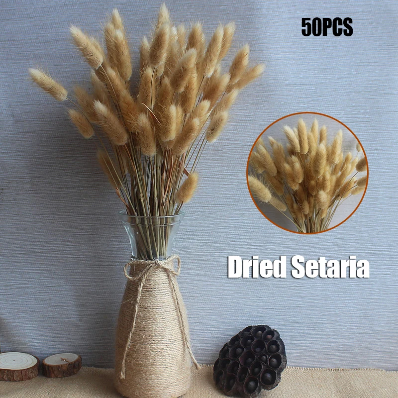 

Dried Setaria Dry Flower Bouquet DIY Hand-Dried Flowers Furnishings Decoration for Home Living Room Garden Party Supplies RE