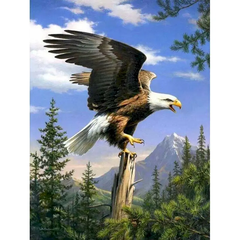 

GATYZTORY 40x50cm Painting By Numbers Eagle Flying DIY Drawing By Numbers Frame Home Decor Digital Painting On Canvas