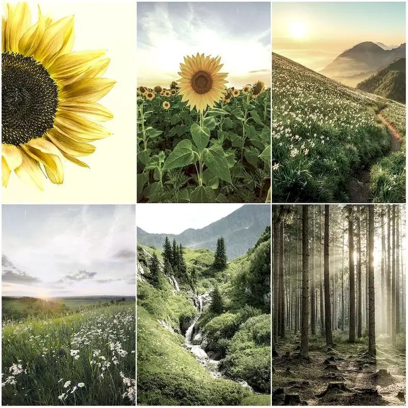 

GATYZTORY 40x50cm Frameless Painting By Numbers Sunflowe Nature Landscape Pictures By Numbers DIY For Home Decoration Gift