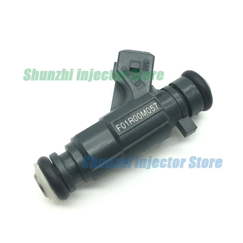 

Fuel Injector Nozzle For OEM:F01R00M057