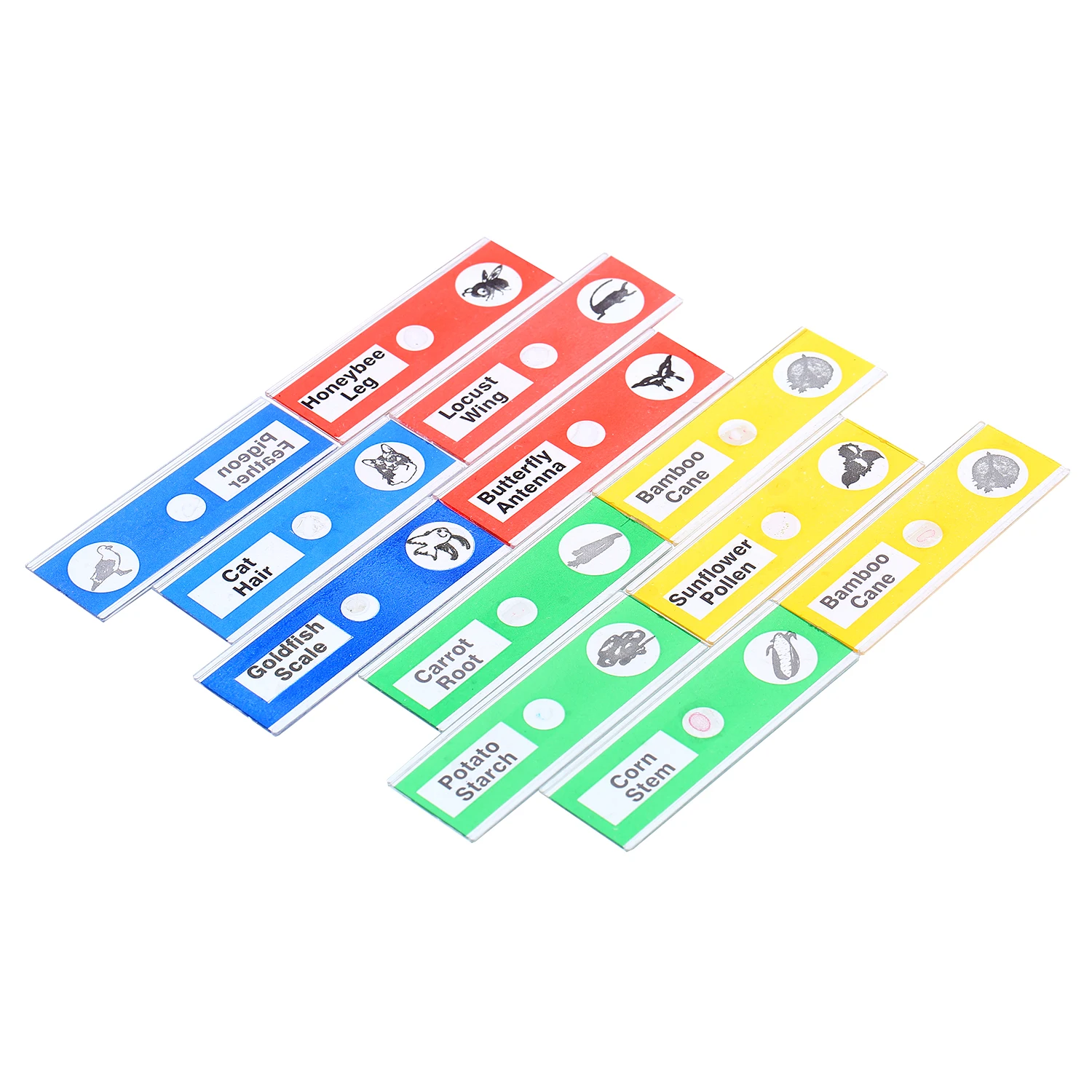 12 шт. слайды подготовленные для микроскопа образец животных насекомые растения