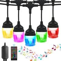niclum colorful bulb led string lights fairy christmas outdoor waterproof wedding decor with remote control for backyard patio