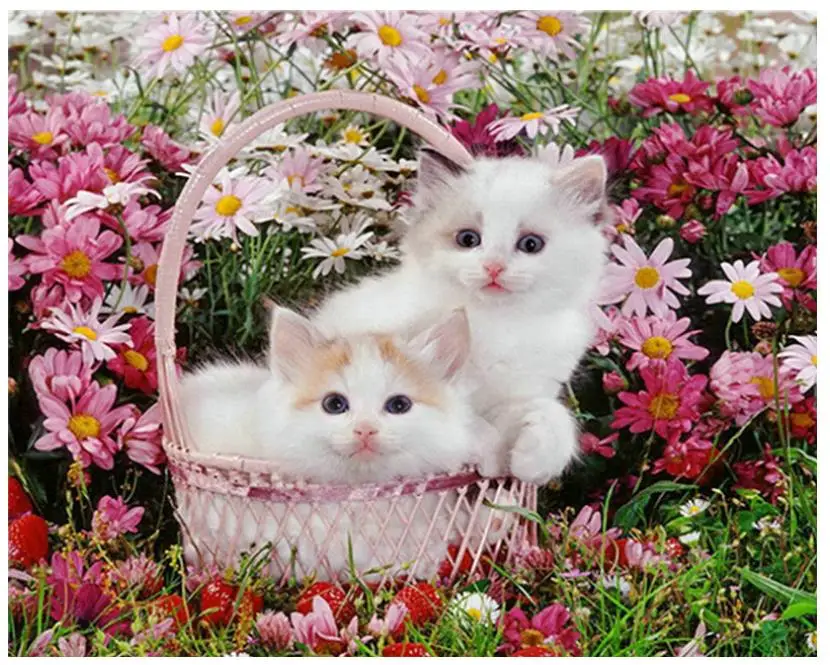 Полностью квадратная Алмазная картина маргаритки кошки Стразы Вышивка картины