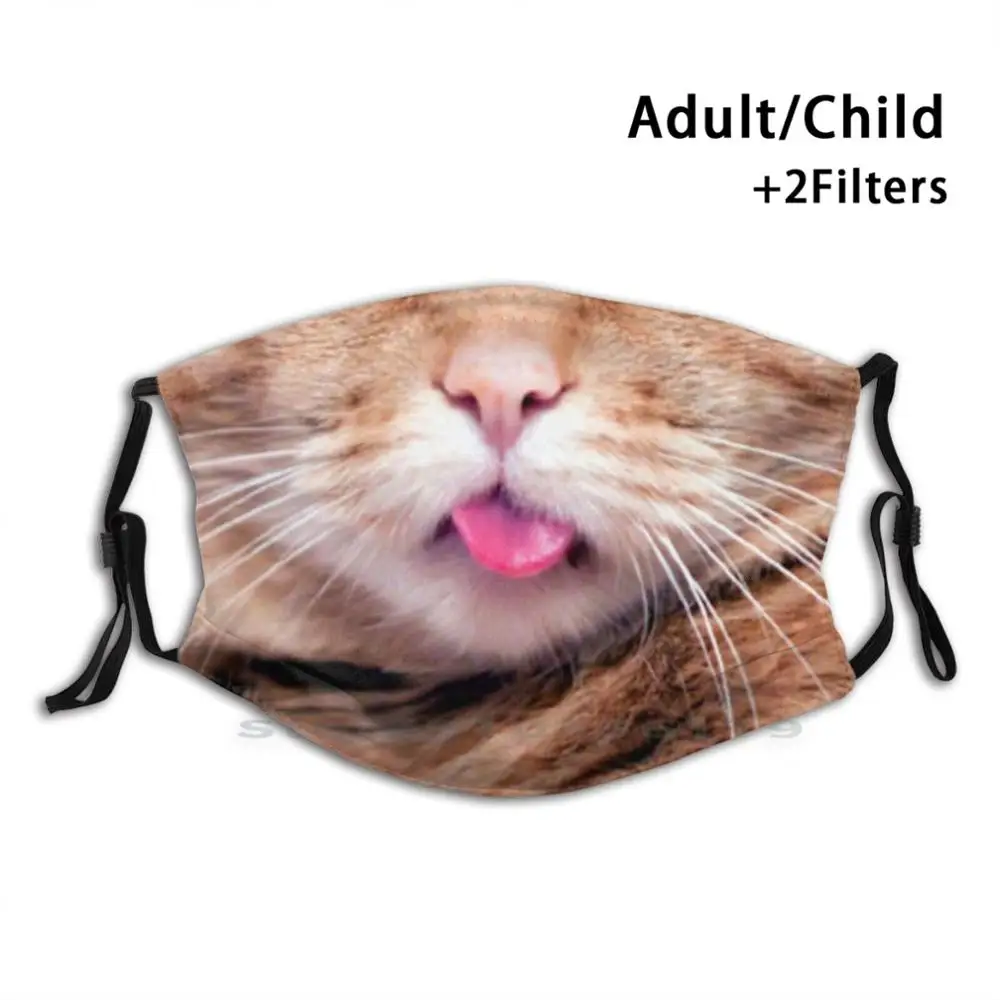 

Ginger Cat Mouth Mouth Print Reusable Pm2.5 Filter DIY Mouth Mask Kids Stay Healthy Save Lives Stop The Spread Social