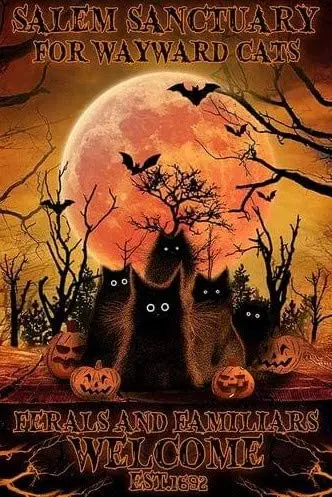 

Salem Sanctuary for Wayward Cats Halloween Cat Pumpkin Tin Sign Retro Style Miller Beer Bar Den Halloween Painting Metal