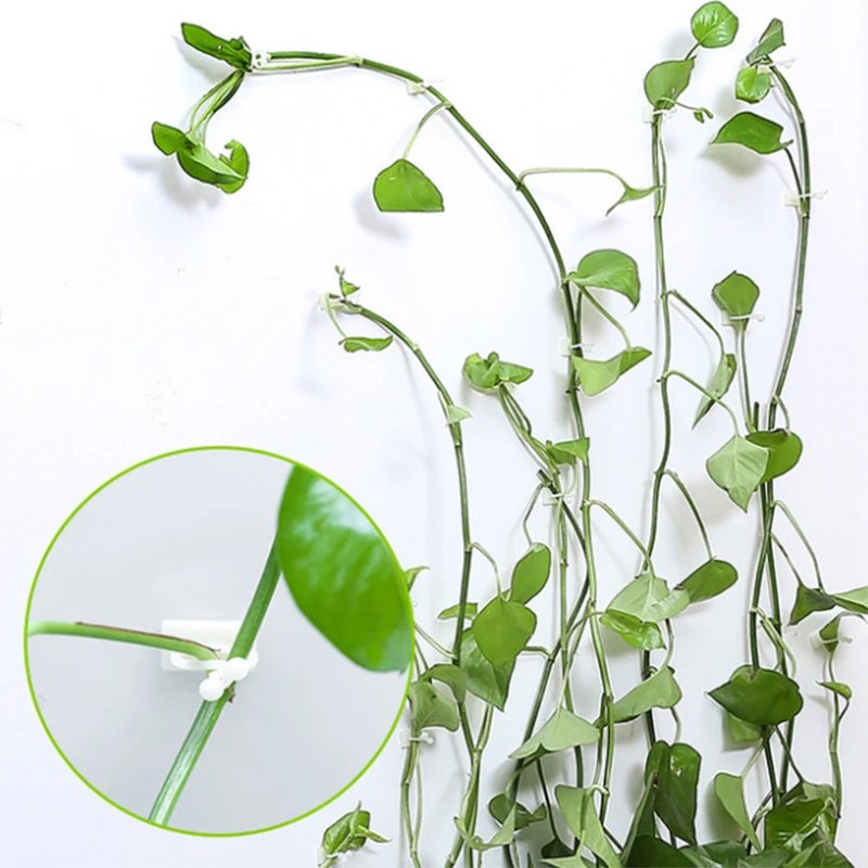 

10-30Pcs Plant Climbing Wall Buckle Hook Self-adhesive Fastener Tied Fixture Vine Garden Plant Vine Clips Fixed Hooks