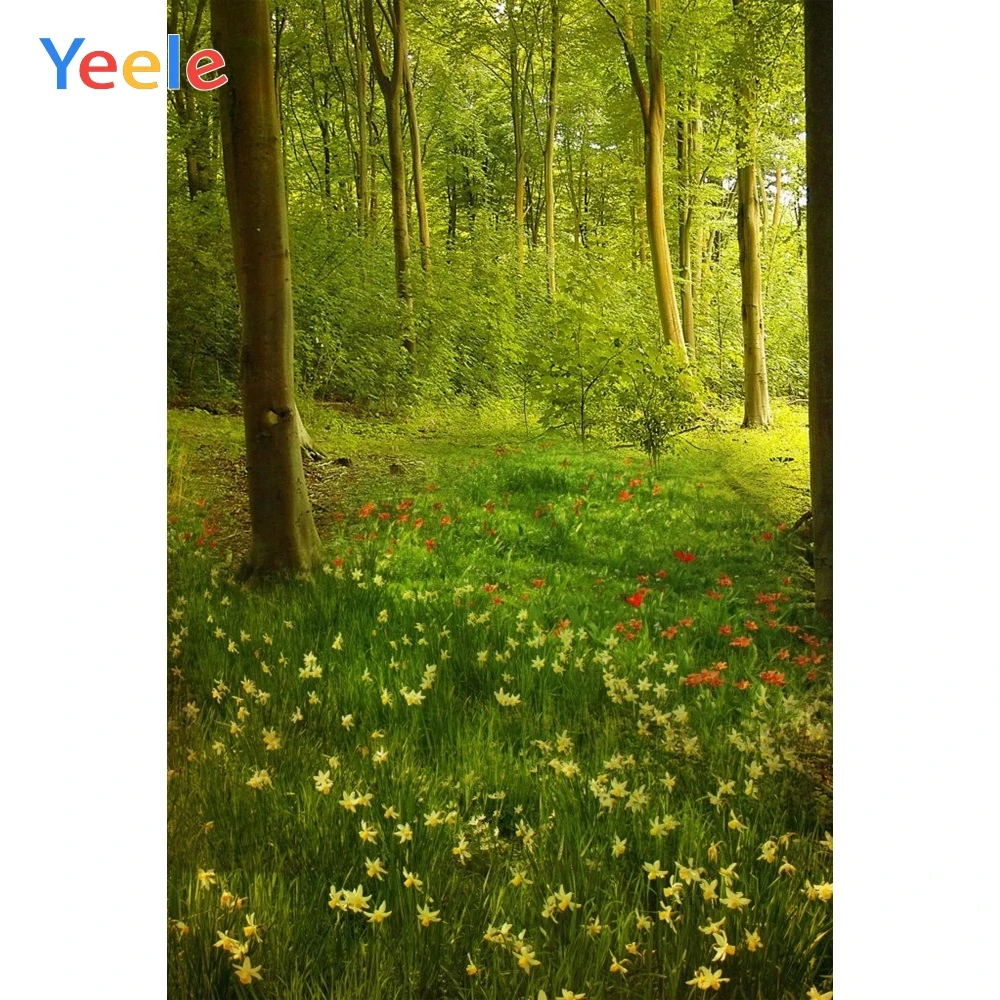 Весенний лес зеленый луга цветок Природа Пейзаж сцена ребенок фон для фотосъемки