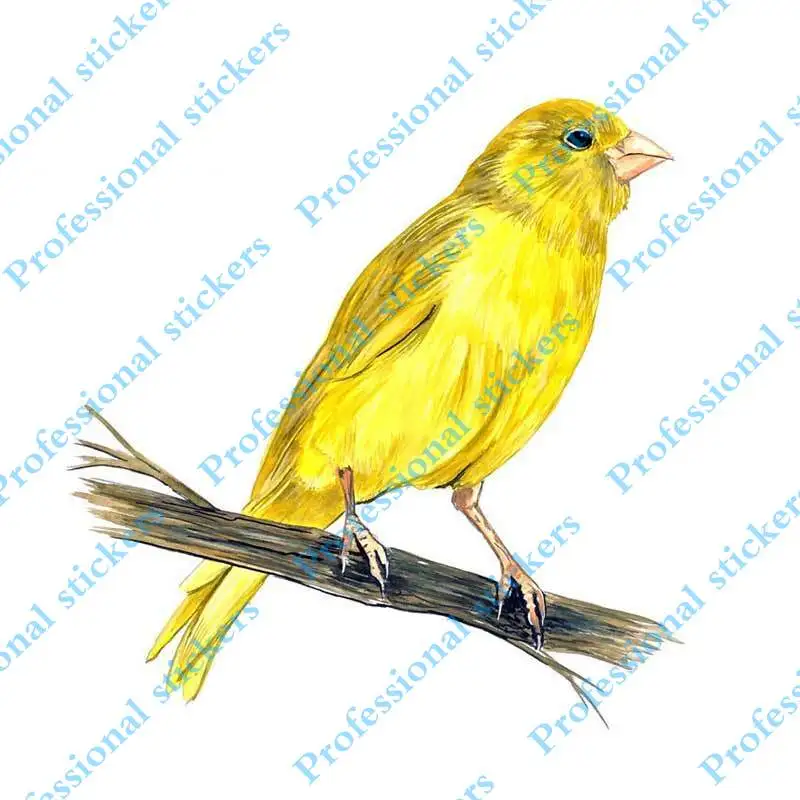 

Interesting 13cm x 12.7cm Yellow Canary Finch Bird Watching Home Office Room Camp Decor Car Stickers Wall Art Decals Graphic