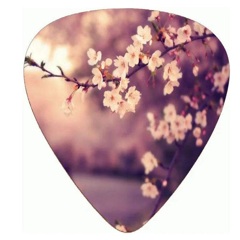 Гитарные кирки с красивыми цветами Премиум качество лучший материал