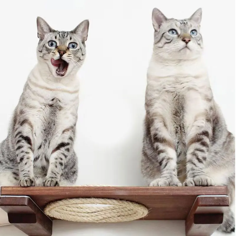 Настенный кошачий стоячий столб гамак на дерево мебель для питомцев|Мебель и