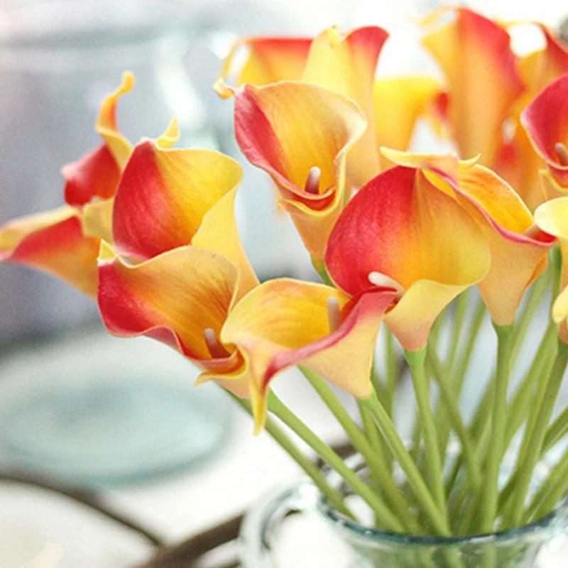 30 шт./лот искусственный белый настоящий для дома сушеные Цветочные венки