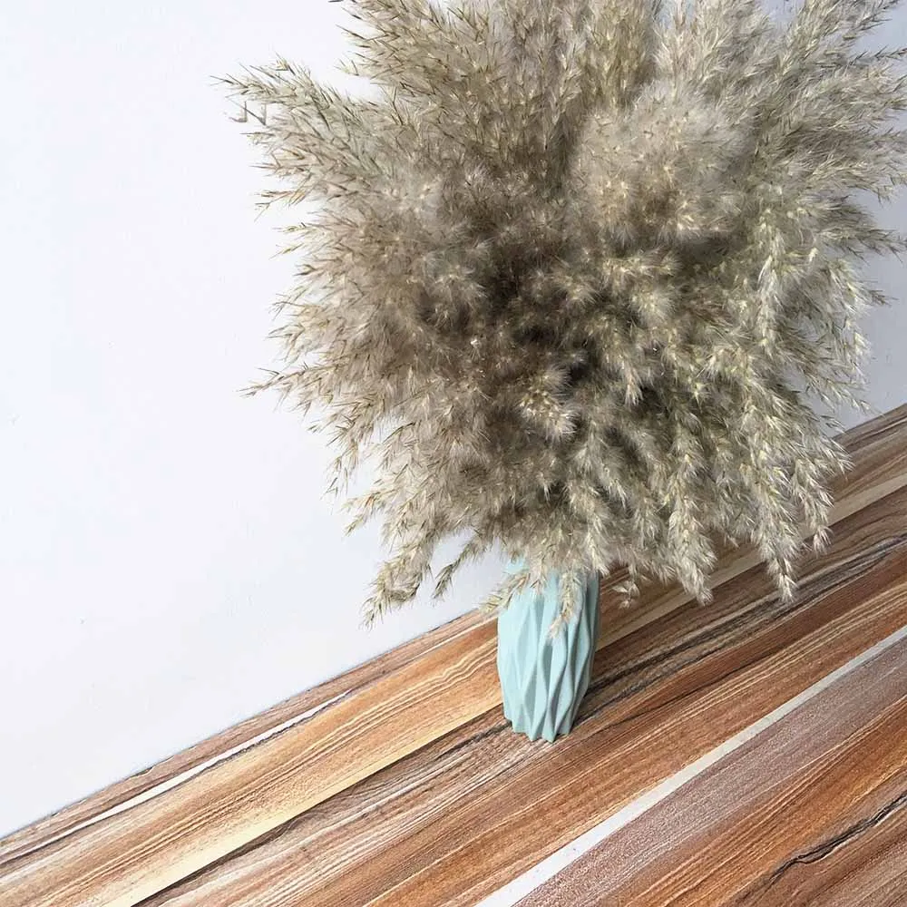 10pcs beautiful natural pampas grass dried flower matching plastic vase for wedding stage decoration Natural bouquet | Дом и сад