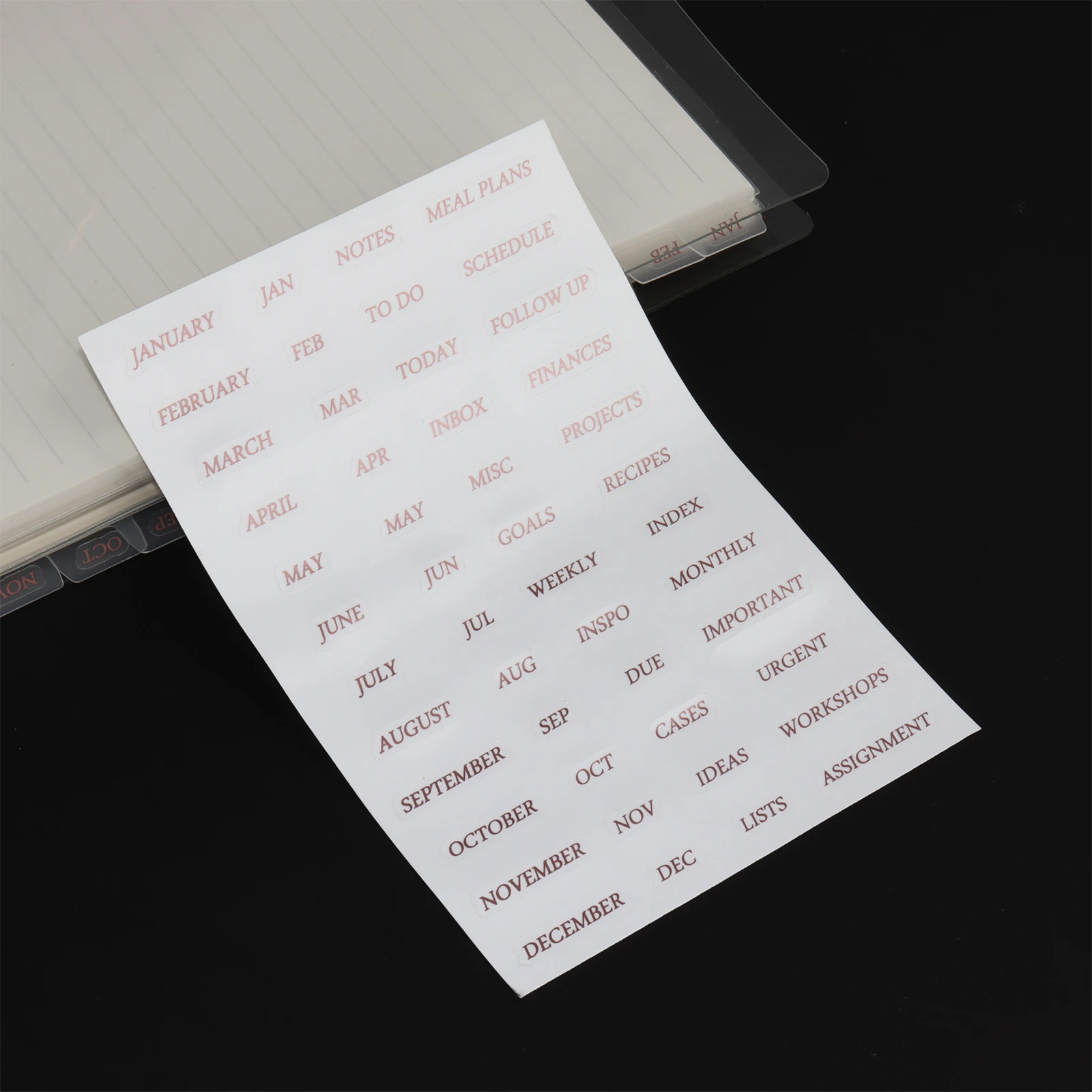 

A5 Notebook Monthly Tab Ring Dividers Rose Gold Stickers Frosted Index Plastic Planner Dividers A5 Clear with 12 Side Tabs