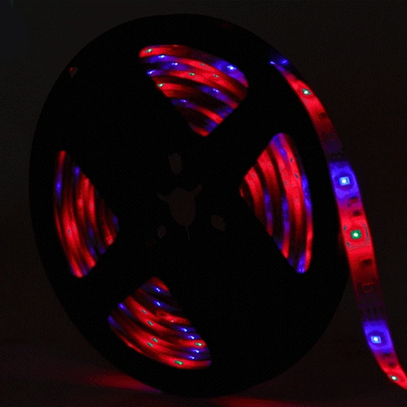 

LED RGB Strip Light Flexible Lamp 5M/16.4Ft 2835 DC5V USB Cable Tape Light Desk Screen TV Background Lighting IR Control