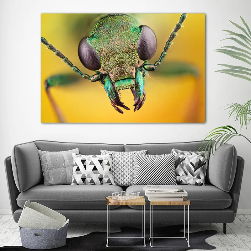 Животные Жуки насекомое макро обои плакаты и принты холст настенная живопись для