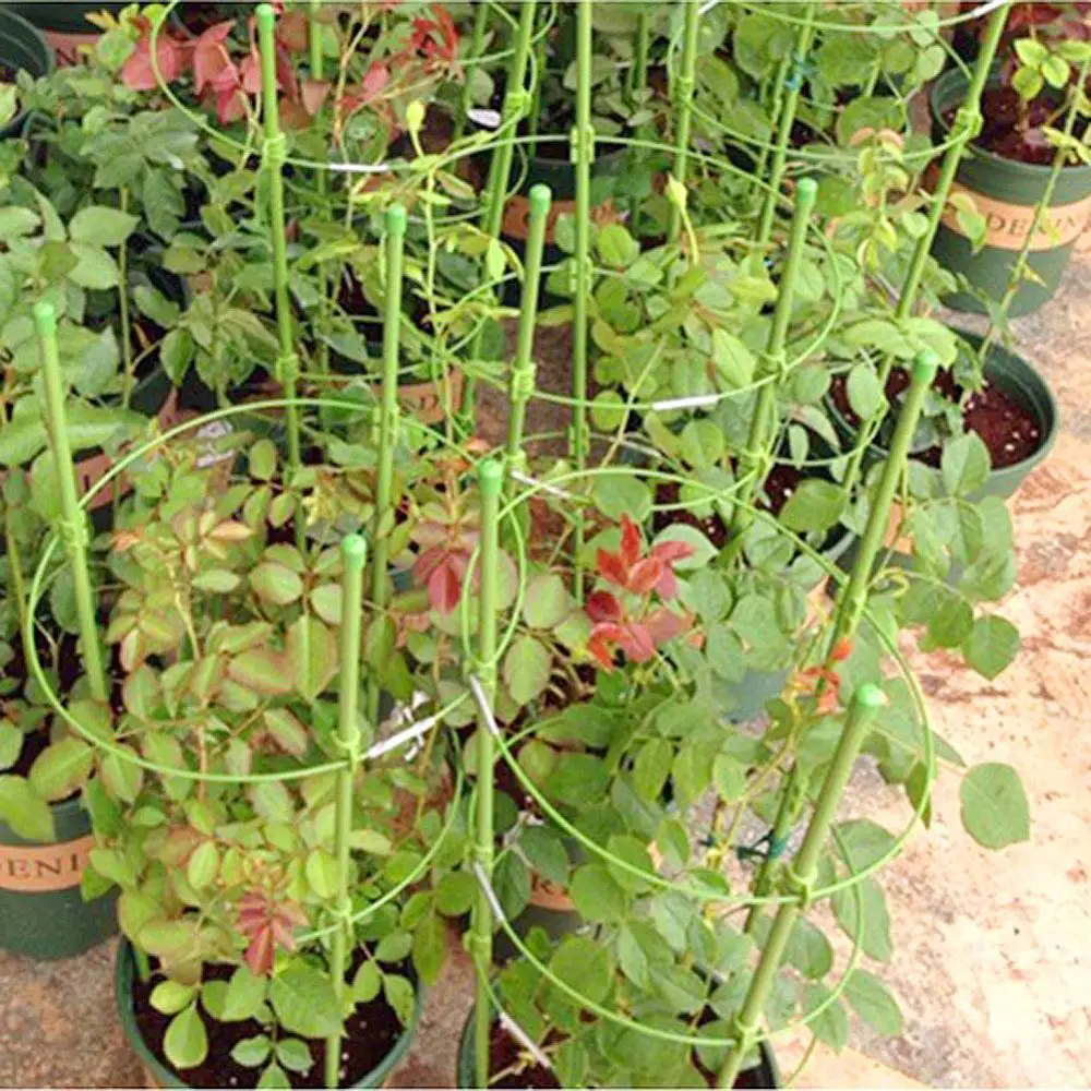 

45cm/60cm Climbing Vine Rack Plant Potted Support Frame Plastic Coated Steel Flower Vegetables Decorative Trellis Bracket 1Pc