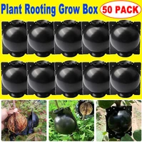 50pcs plant rooting balls grafting rooting growing box breeding case plant root device high pressure propagation ball for garden