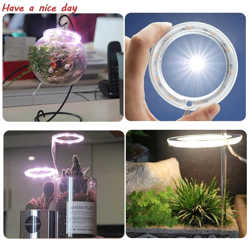 LED Grow Light Full Spectrum Phyto Lamp USB Phytolamp For Plants 5V Growth Lighting Indoor Plant | Лампы и освещение