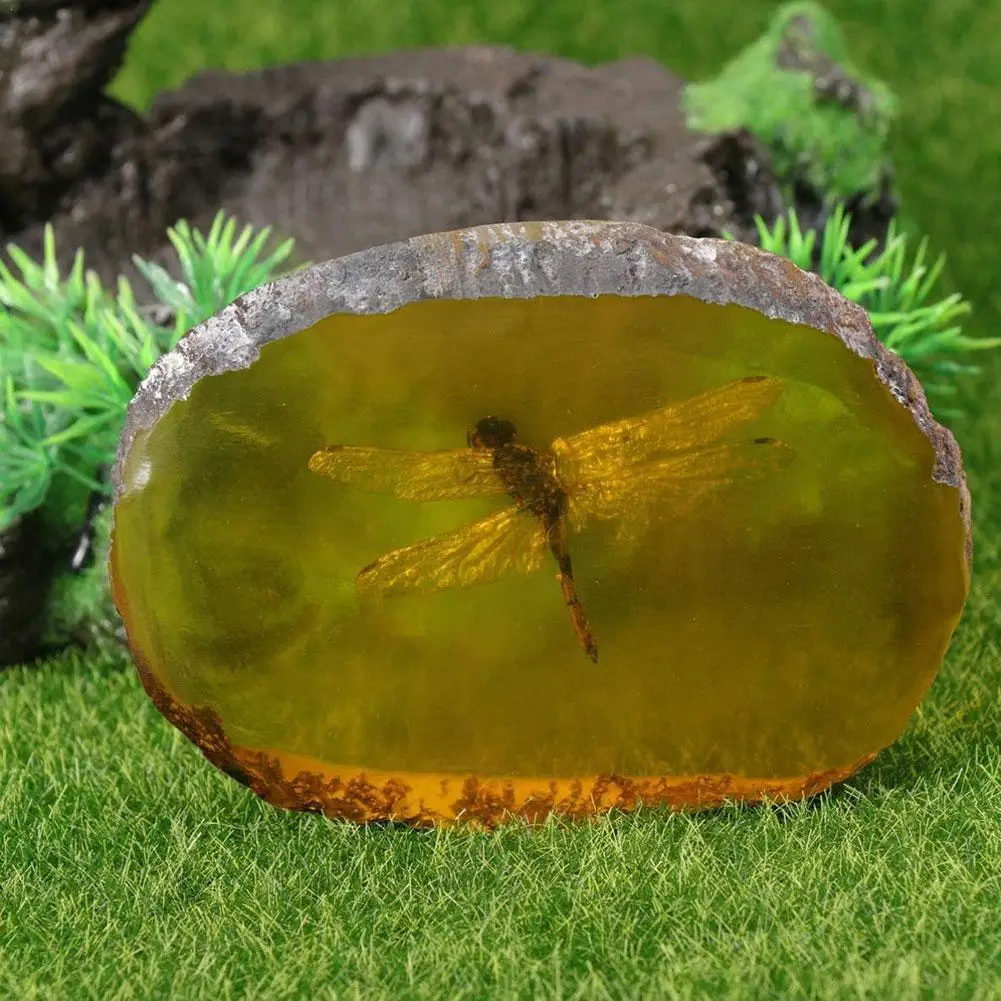 

Коллекционная китайская Красивая Янтарная Стрекоза ископаемые насекомые ручная полировка изысканный подарок домашний декор Прямая поста...