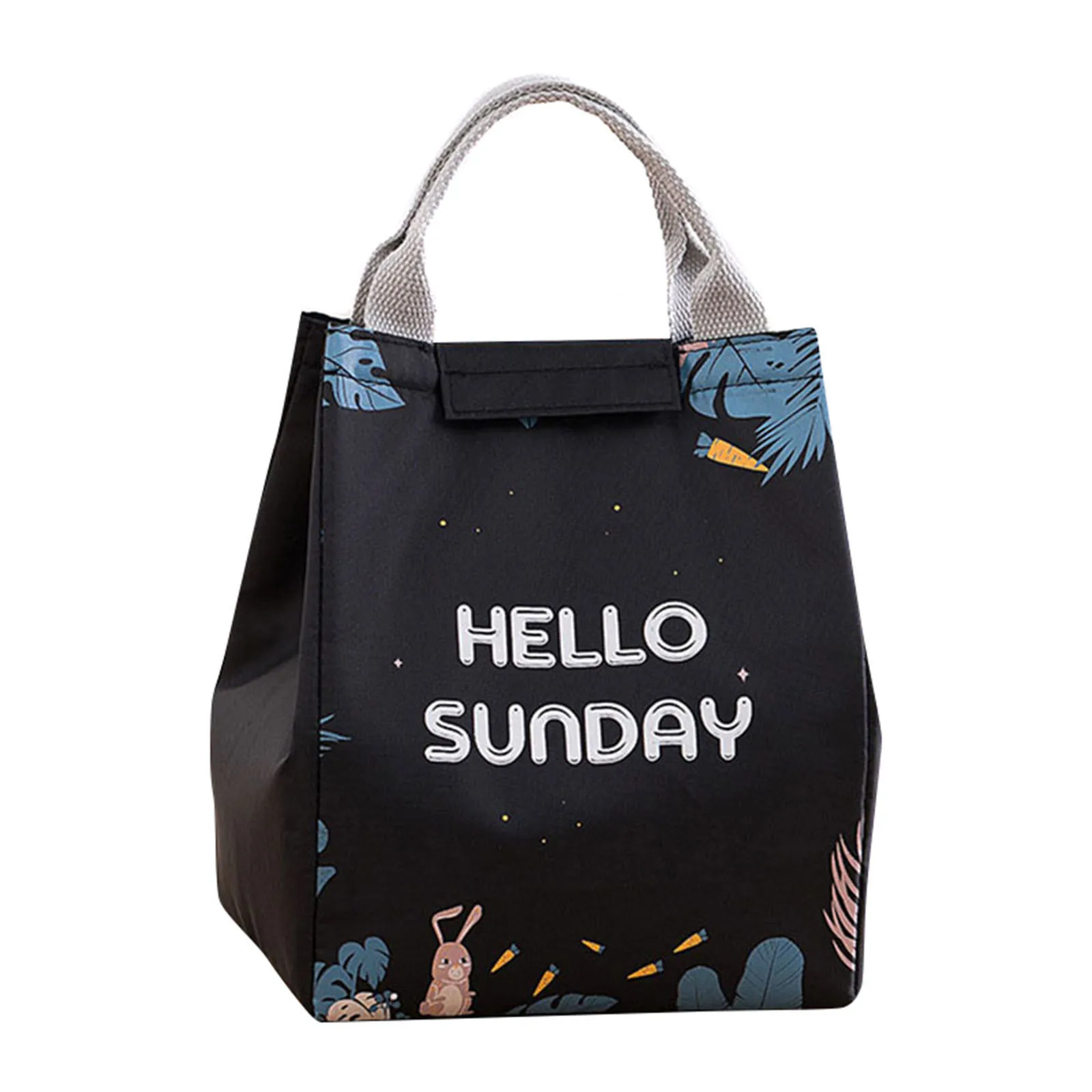 

Portable Tote Lunch Bag Waterproof Insulated Soft Lunch Bags for Outdoors Camping School Office Student 15*18*24cm-B5