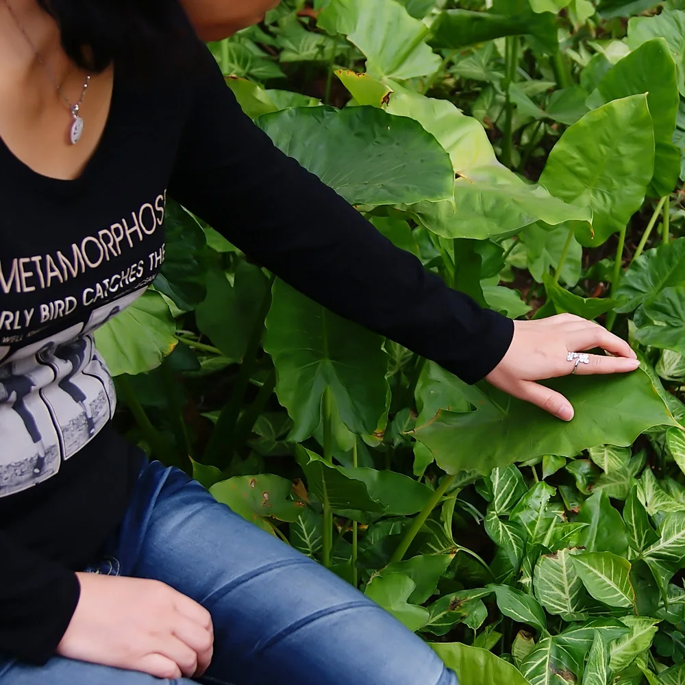 Новое поступление кольца для женщин стерлинговое серебро 925 пробы ювелирные