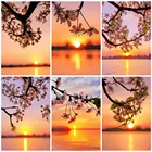 Набор для вышивки крестиком DUTEY 5D, алмазная живопись с пейзажем заката, полная выкладка, мозаика ручной работы, подарок для украшения дома