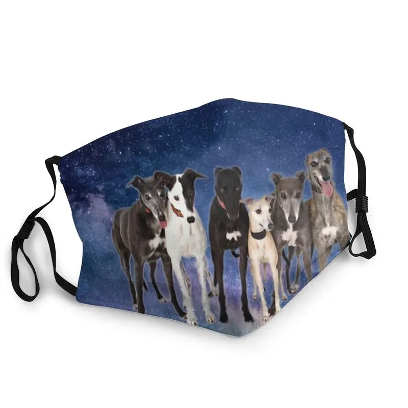 

Dog And Greyhounds Reusable Unisex Adult Face Mask Animal Picture Anti Haze Dust Protection Cover Respirator Mouth Muffle