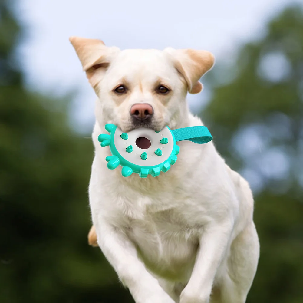 

Dog Chew Disc Toys Aggressive Chewers Toothbrush Puppy Resistance to Bite Teeth Cleaning Outdoor Pet Throwing Training Supplies