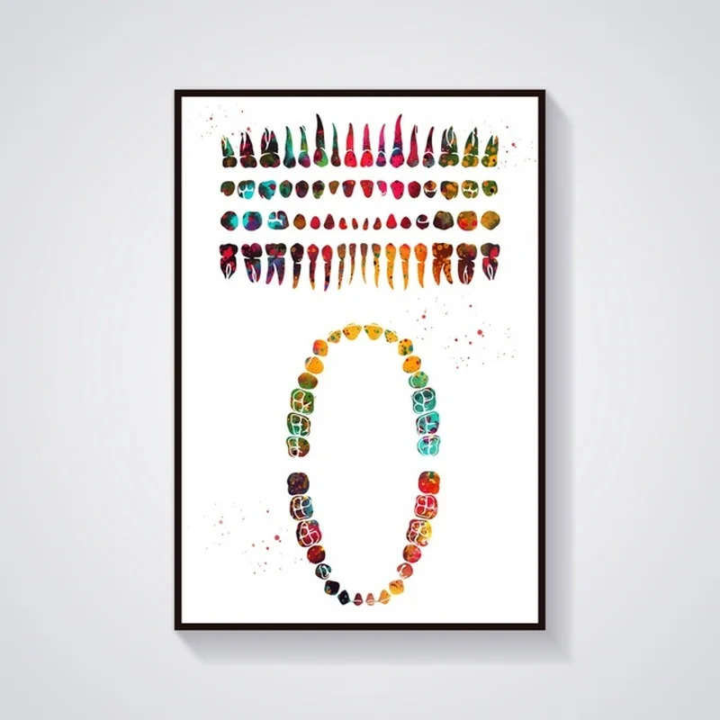 Скелет череп тело позвоночник зубы грудные конструкция анатомия медицинский и