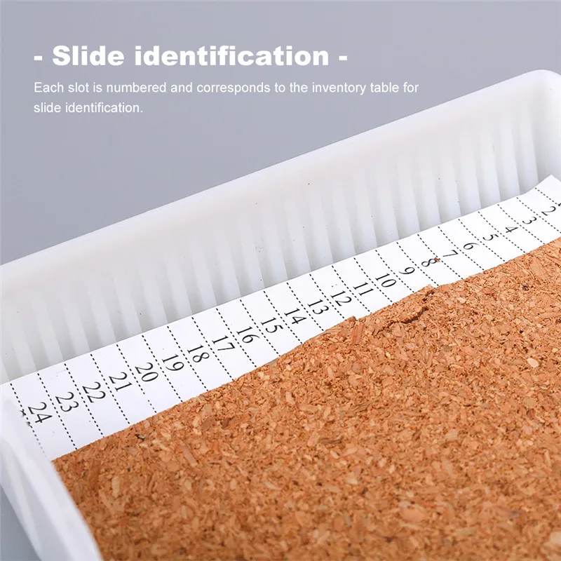 25 местная лаборатория ABS пластиковая коробка для хранения слайдов диспенсер