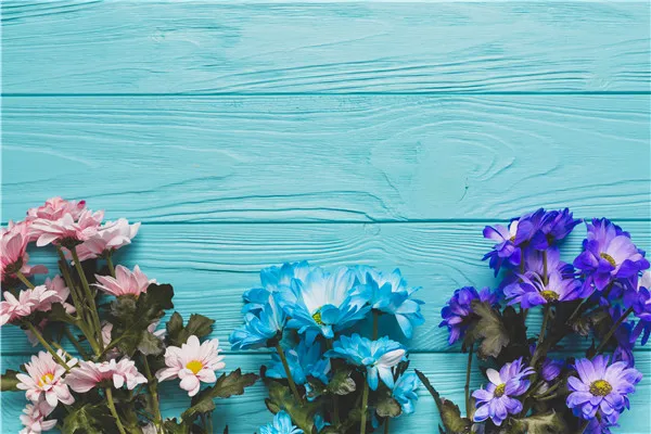 

SHENGYONGBAO Art Fabric Custom Photography Backdrops Prop Christmas day and Wood Planks Photo Studio Background M191102-98